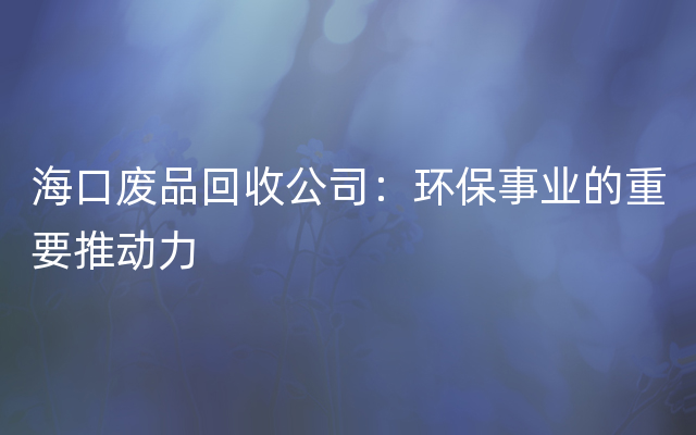 海口废品回收公司：环保事业的重要推动力