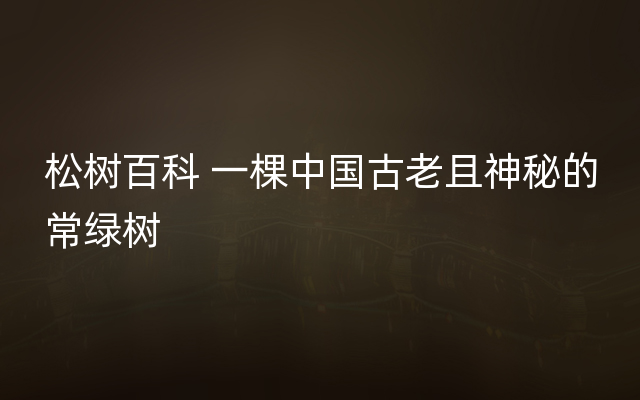 松树百科 一棵中国古老且神秘的常绿树