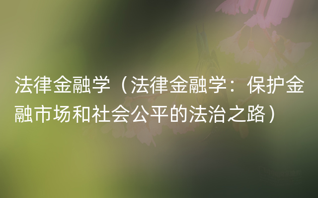 法律金融学（法律金融学：保护金融市场和社会公平