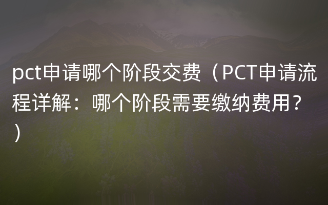 pct申请哪个阶段交费（PCT申请流程详解：哪个阶段需要缴纳费用？）