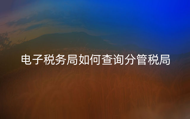 电子税务局如何查询分管税局