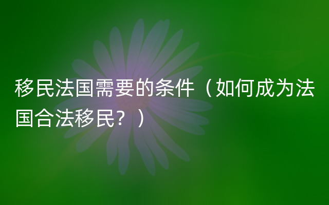 移民法国需要的条件（如何成为法国合法移民？）