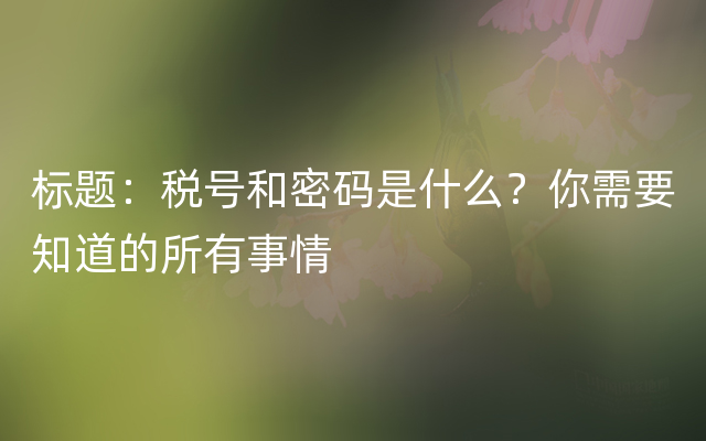 标题：税号和密码是什么？你需要知道的所有事情