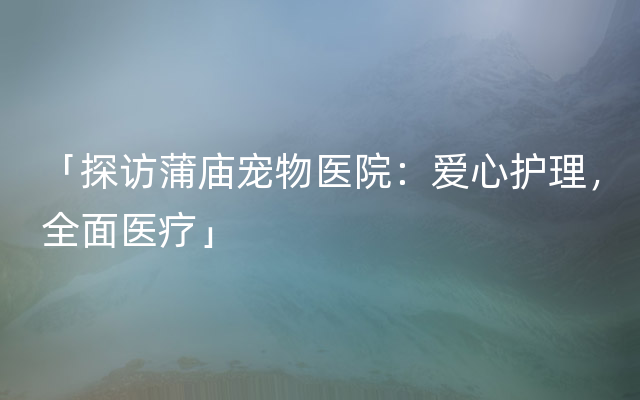 「探访蒲庙宠物医院：爱心护理，全面医疗」