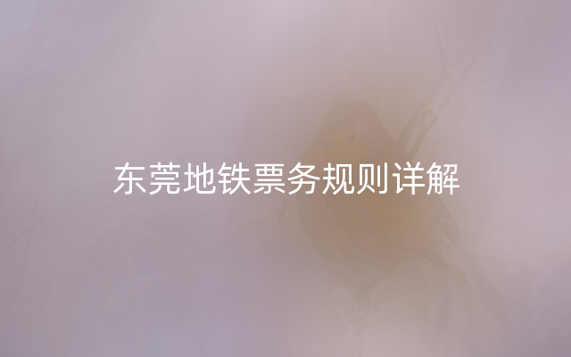 东莞地铁票务规则详解