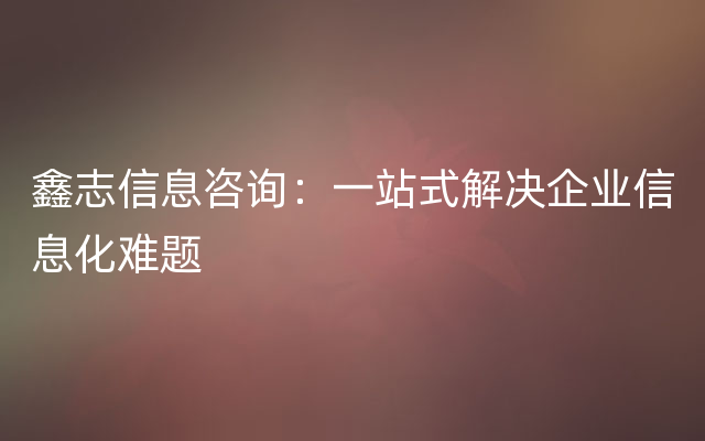 鑫志信息咨询：一站式解决企业信息化难题