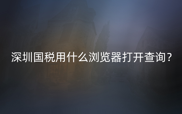 深圳国税用什么浏览器打开查询？