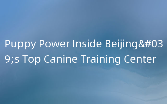 Puppy Power Inside Beijing's Top Canine Training Center