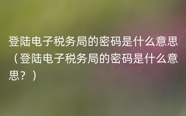 登陆电子税务局的密码是什么意思（登陆电子税务局的密码是什么意思？）