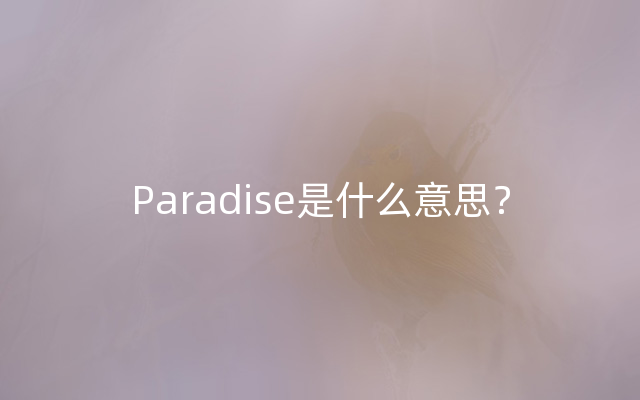 Paradise是什么意思？