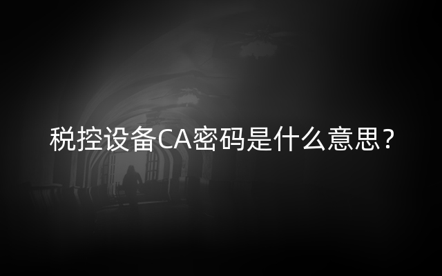 税控设备CA密码是什么意思？