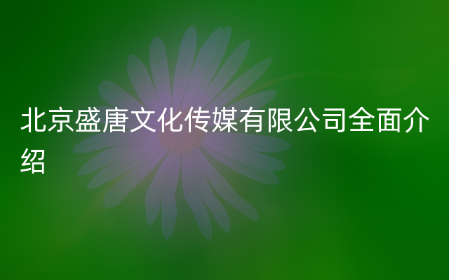 北京盛唐文化传媒有限公司全面介绍