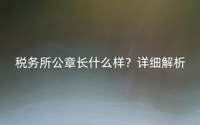 税务所公章长什么样？详细解析