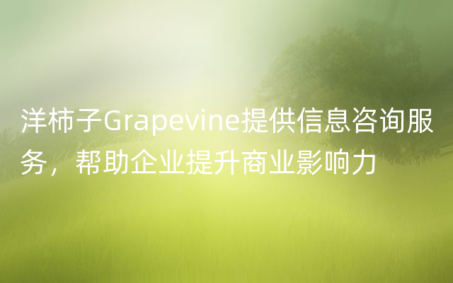 洋柿子Grapevine提供信息咨询服务，帮助企业提升商业影响力