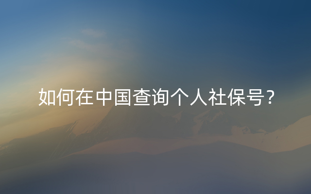 如何在中国查询个人社保号？