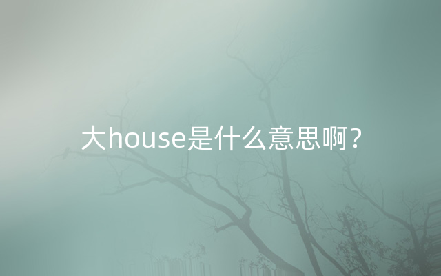 大house是什么意思啊？