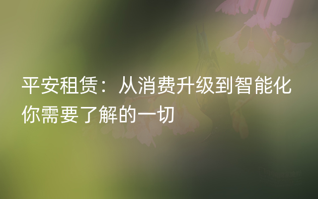 平安租赁：从消费升级到智能化 你需要了解的一切