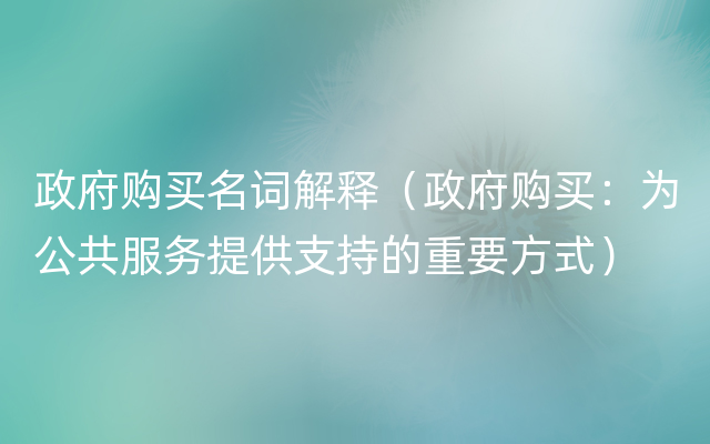 政府购买名词解释（政府购买：为公共服务提供支持的重要方式）