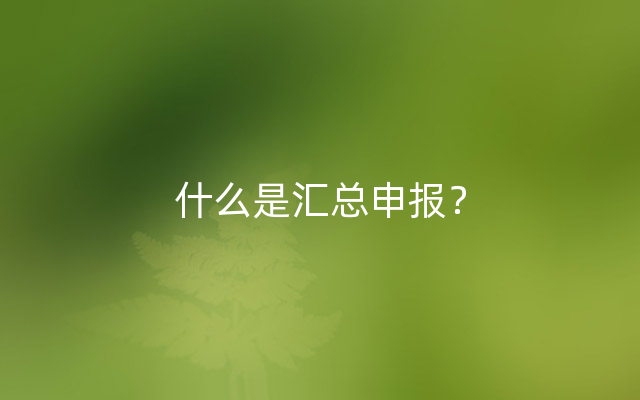 什么是汇总申报？