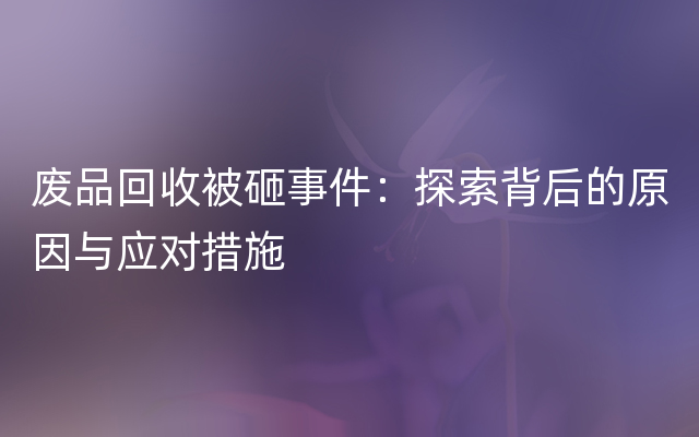 废品回收被砸事件：探索背后的原因与应对措施