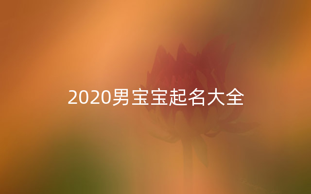 2020男宝宝起名大全