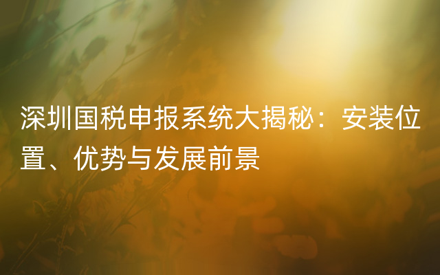 深圳国税申报系统大揭秘：安装位置、优势与发展前景
