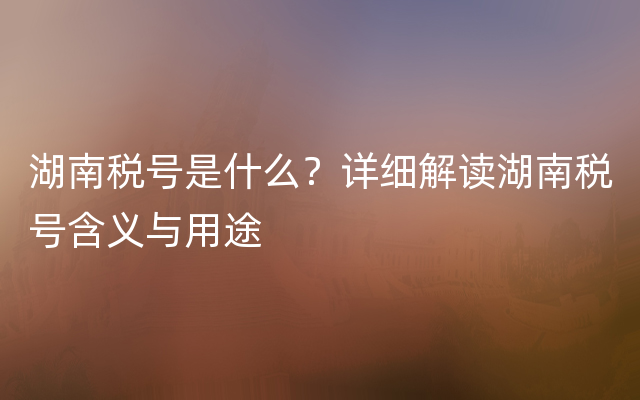 湖南税号是什么？详细解读湖南税号含义与用途