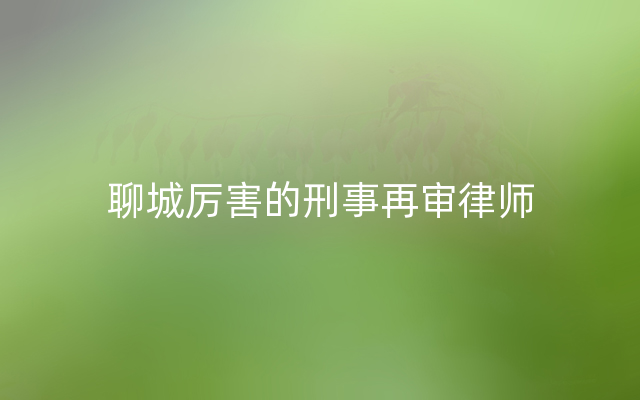 聊城厉害的刑事再审律师