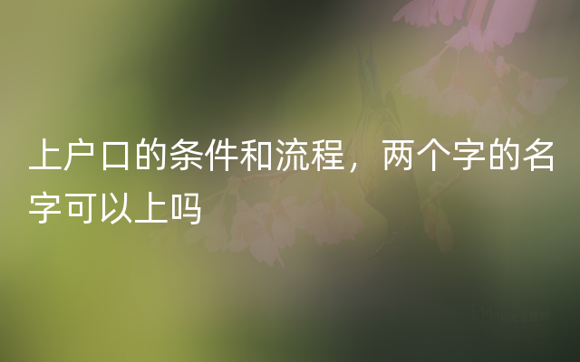 上户口的条件和流程，两个字的名字可以上吗