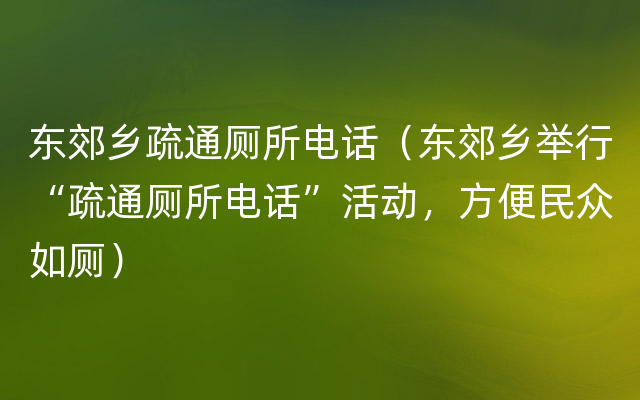 东郊乡疏通厕所电话（东郊乡举行“疏通厕所电话”