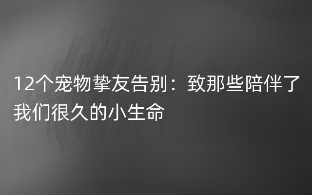 12个宠物挚友告别：致那些陪伴了我们很久的小生命