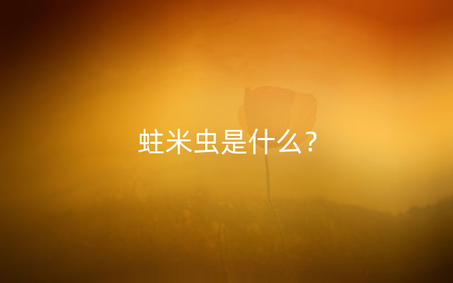 蛀米虫是什么？