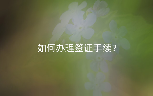 如何办理签证手续？