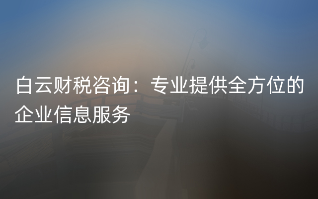 白云财税咨询：专业提供全方位的企业信息服务