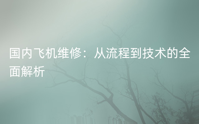 国内飞机维修：从流程到技术的全面解析