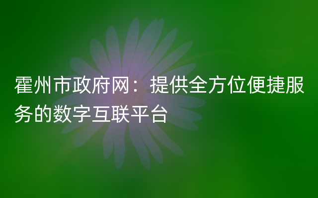 霍州市政府网：提供全方位便捷服务的数字互联平台