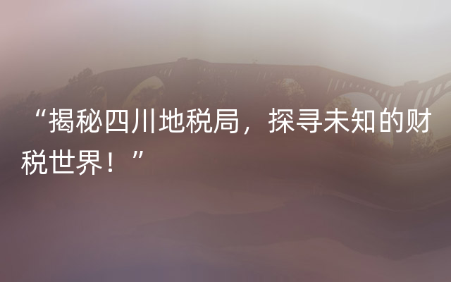 “揭秘四川地税局，探寻未知的财税世界！”