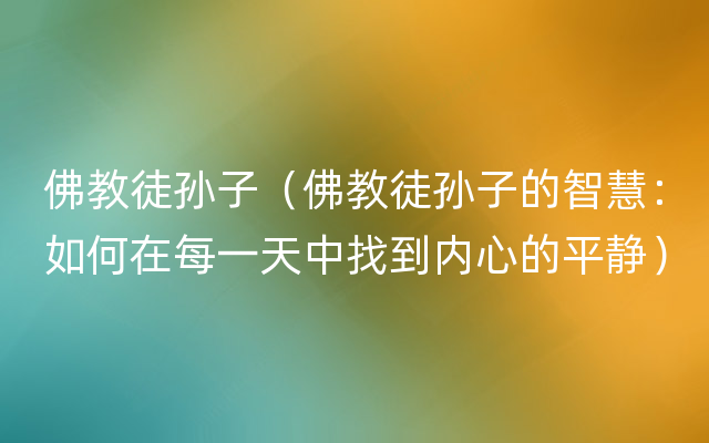 佛教徒孙子（佛教徒孙子的智慧：如何在每一天中找到内心的平静）