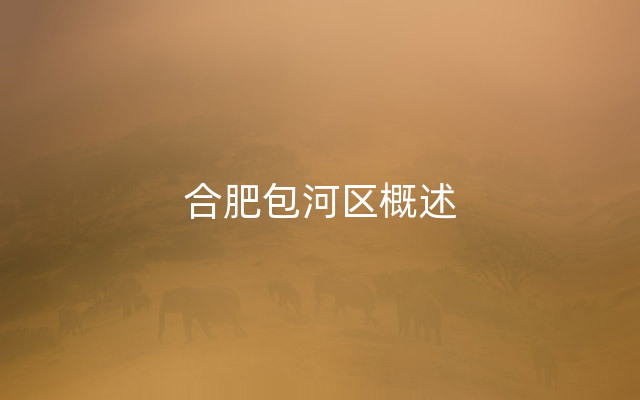 合肥包河区概述