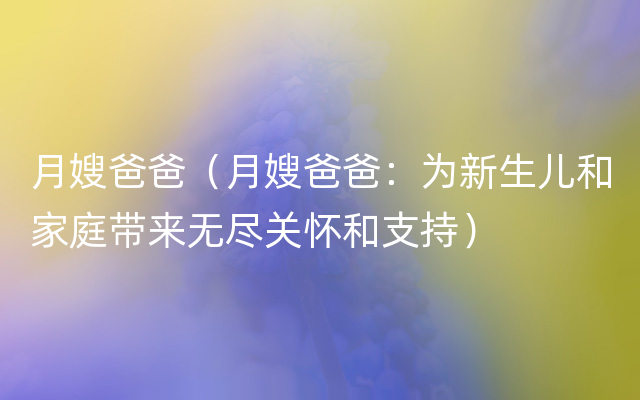 月嫂爸爸（月嫂爸爸：为新生儿和家庭带来无尽关怀和支持）