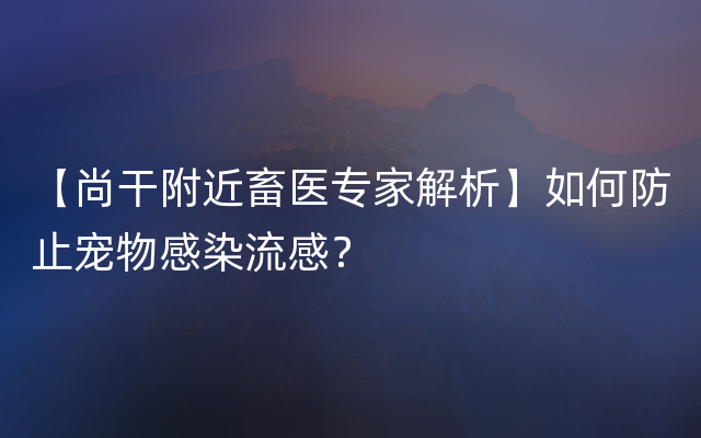 【尚干附近畜医专家解析】如何防止宠物感染流感？