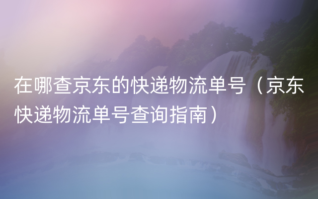 在哪查京东的快递物流单号（京东快递物流单号查询指南）