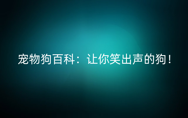 宠物狗百科：让你笑出声的狗！