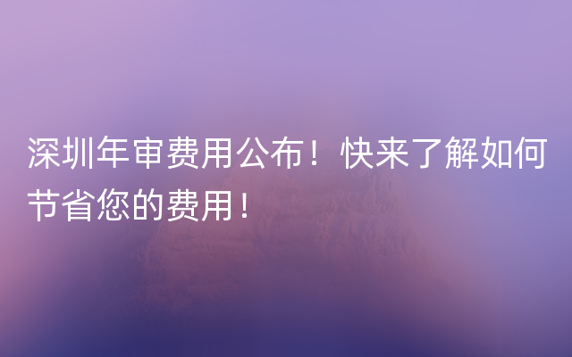 深圳年审费用公布！快来了解如何节省您的费用！