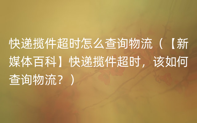 快递揽件超时怎么查询物流（【新媒体百科】快递揽件超时，该如何查询物流？）