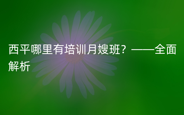 西平哪里有培训月嫂班？——全面解析