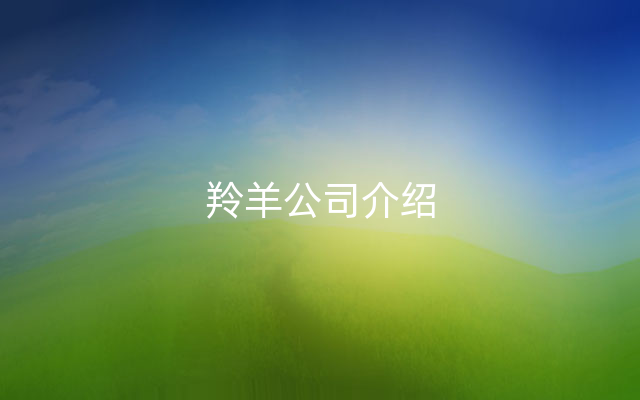 羚羊公司介绍