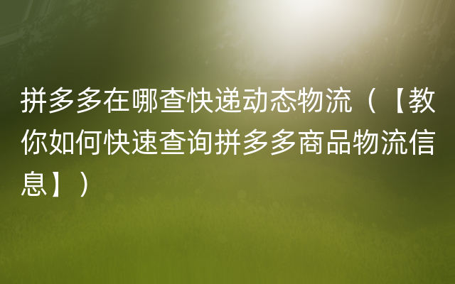 拼多多在哪查快递动态物流（【教你如何快速查询拼多多商品物流信息】）