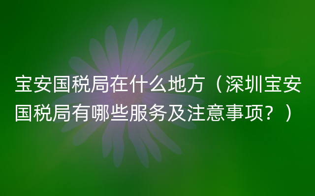 宝安国税局在什么地方（深圳宝安国税局有哪些服务及注意事项？）