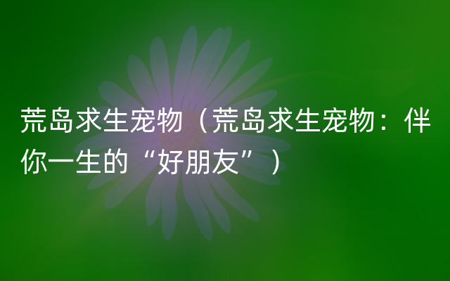 荒岛求生宠物（荒岛求生宠物：伴你一生的“好朋友”）